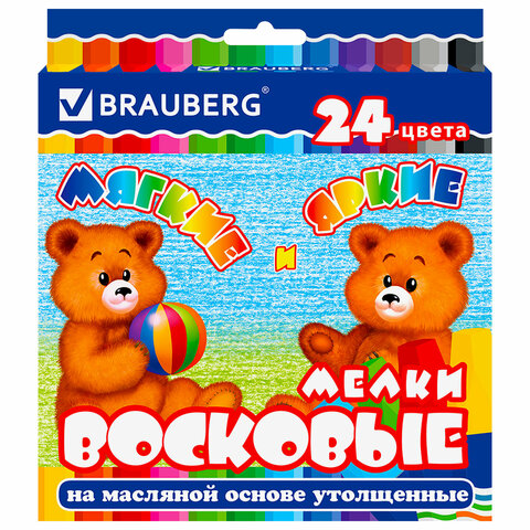    BRAUBERG,  24 ,   ,  , 222972 